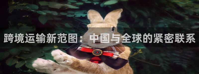 多多28怎么下载不了：跨境运输新范图