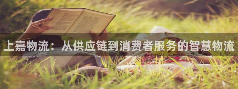 多多28官方平台：上嘉物流：从供应链