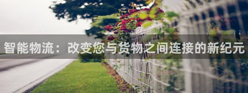 多多28注册平台：智能物流：改变您与