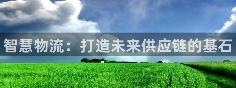 多多28能不能退：智慧物流：打造未来