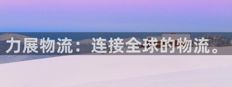 多多28加拿大最新版：力展物流：连接