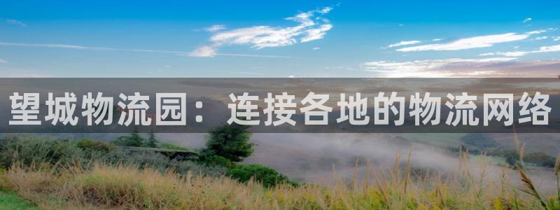 多多28官方平台：望城物流园：连接各