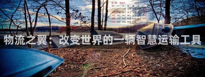 多多28官网版2024：物流之翼：改