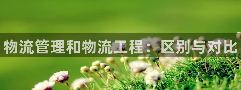 多多28开奖预测：物流管理和物流工程