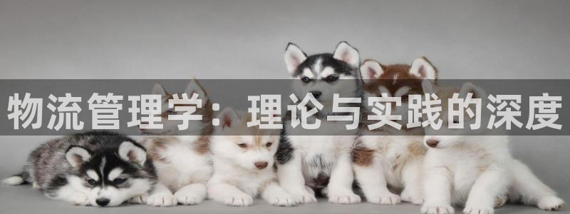 多多28模拟器在线使用：物流管理学：
