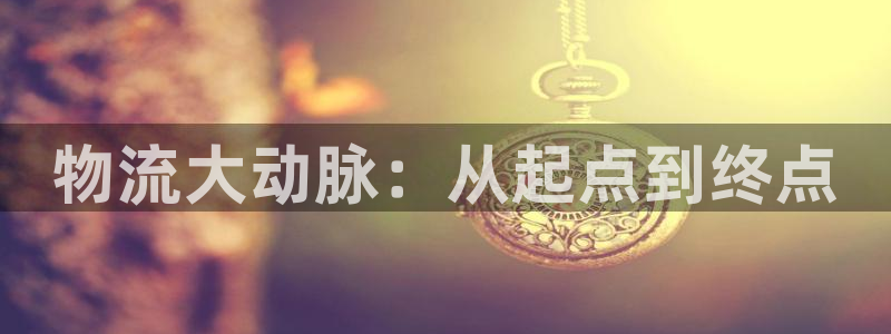多多28官网平台下载：物流大动脉：从