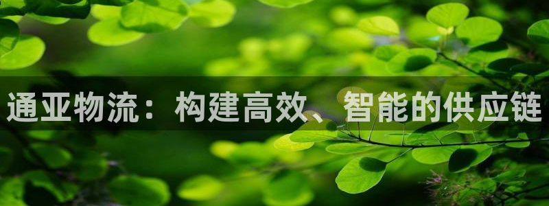 多多28预测网：通亚物流：构建高效、