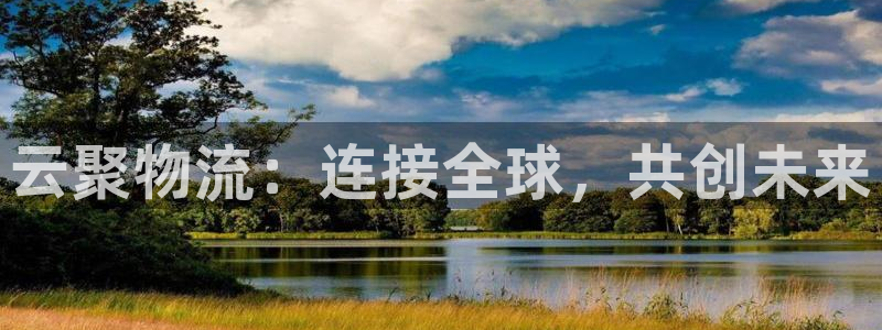 多多28圈助手:云聚物流:连接全球,