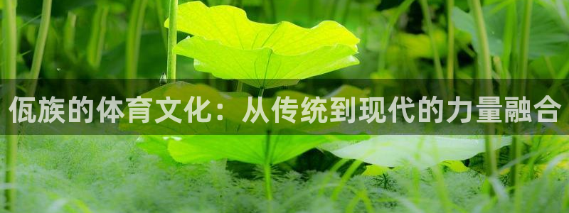 米兰体育app：佤族的体育文化：从传统到现代的力量融合