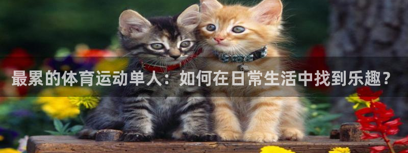 米兰体育靠谱吗：最累的体育运动单人：如何在日常生活中找到乐趣？