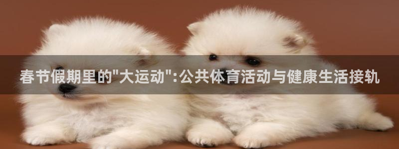 米兰体育中心：春节假期里的\