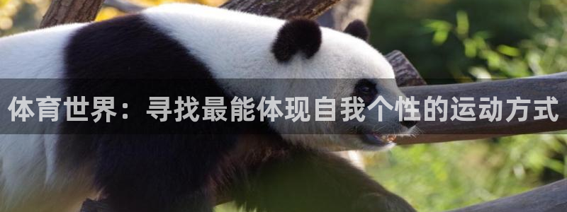 米兰体育报：体育世界：寻找最能体现自我个性的运动方式