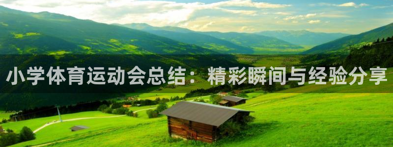 米兰体育报：小学体育运动会总结：精彩瞬间与经验分享