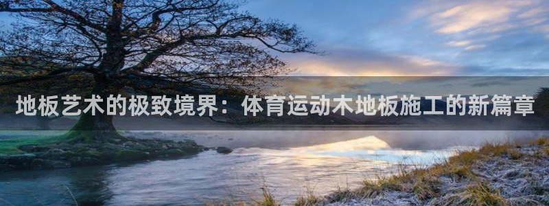 米兰体育入口：地板艺术的极致境界：体育运动木地板施工的新篇章