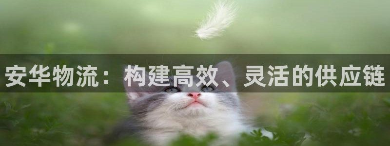 多多28机器人是什么软件：安华物流：