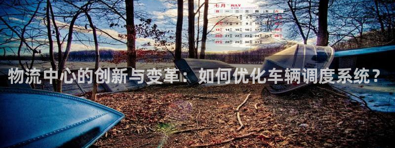 多多28不给提现：物流中心的创新与变