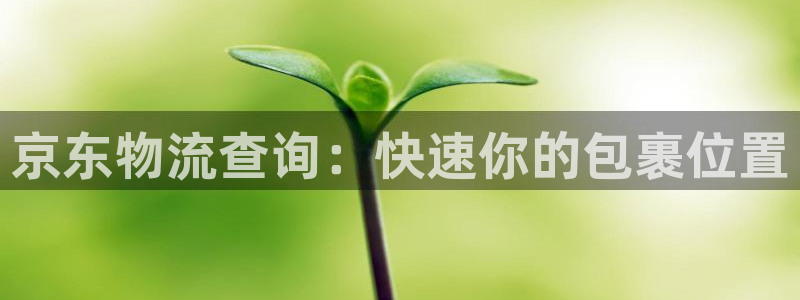 多多28加拿大预测:京东物流查询:快