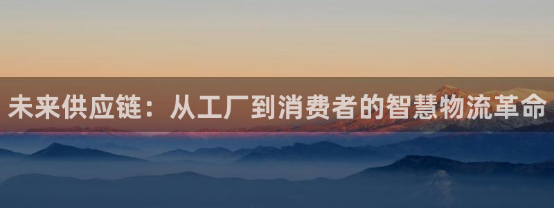 多多28忘记账号：未来供应链：从工厂