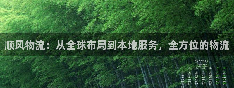 南宫多多28官网：顺风物流：从全球布
