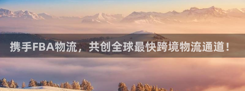 多多28充值不处理怎么办：携手FBA