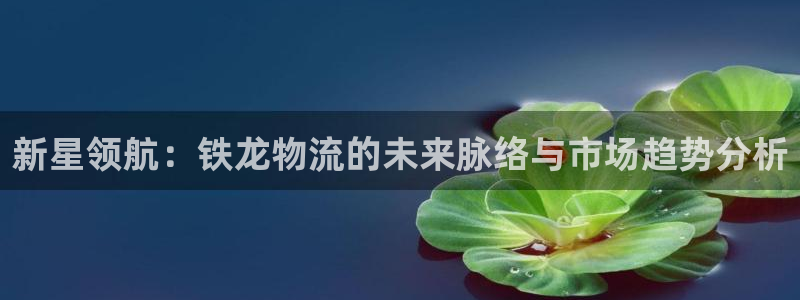 多多28反水：新星领航：铁龙物流的未