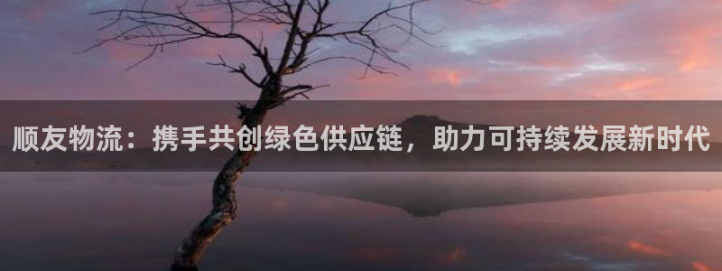 多多28赌博被抓：顺友物流：携手共创