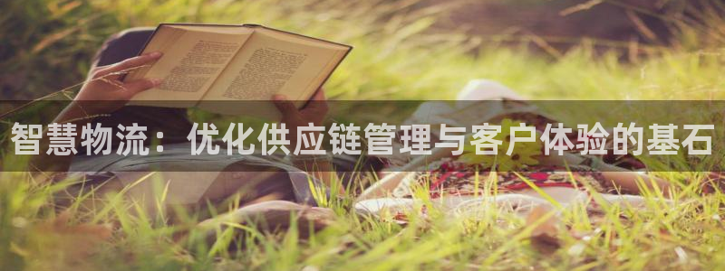 多多28官网多少：智慧物流：优化供应