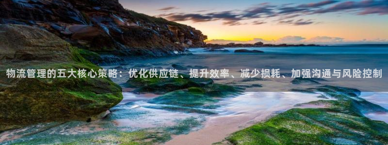 多多28玩法：物流管理的五大核心策略