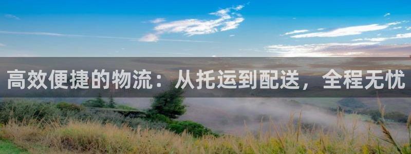 多多28分分28输了能不能退：高效便